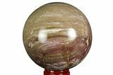Colorful Petrified Wood Sphere - Madagascar #169138-1